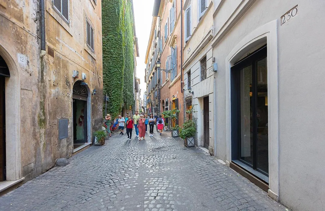 Coronari-Rental In Rome-1